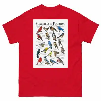 Songbirds of Florida - Men's classic tee - Image 3