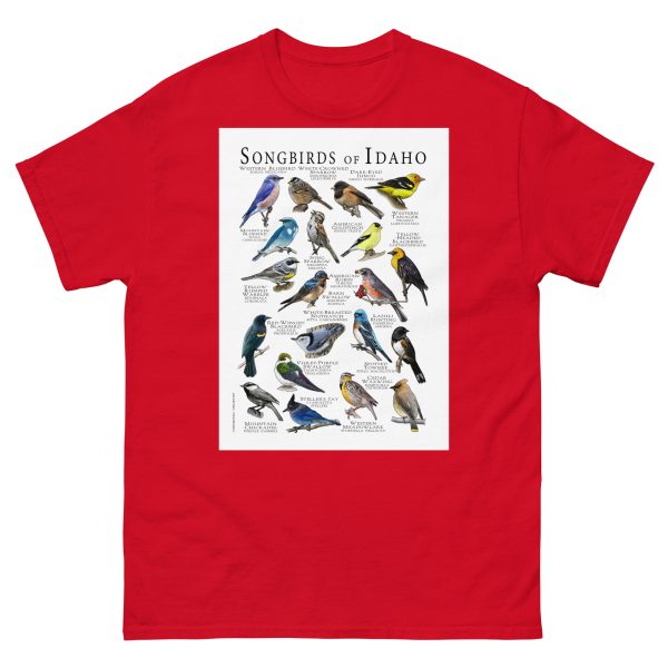 Songbirds of Idaho - Men's classic tee - Image 3