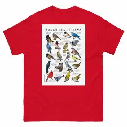 Songbirds of Iowa - Men's classic tee - Image 3