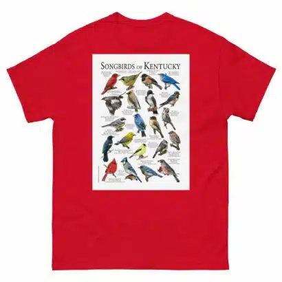 Songbirds of Kentucky- Men's classic tee - Image 3