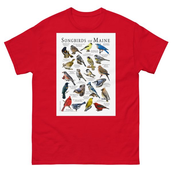 Songbirds of Maine - Men's classic tee - Image 3