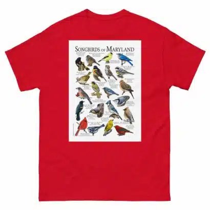 Songbirds of Maryland - Men's classic tee - Image 3