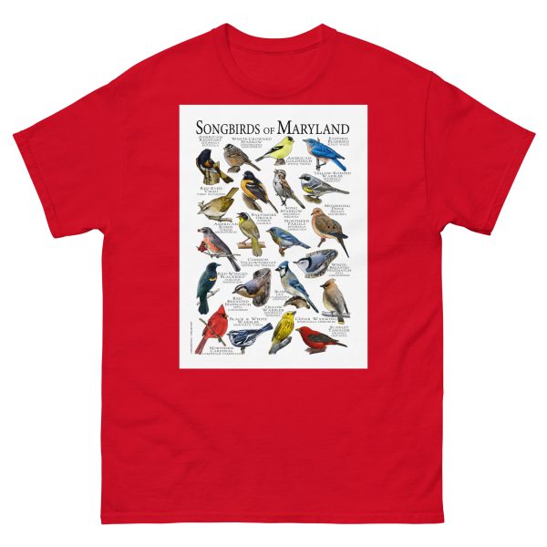 Songbirds of Maryland - Men's classic tee - Image 3