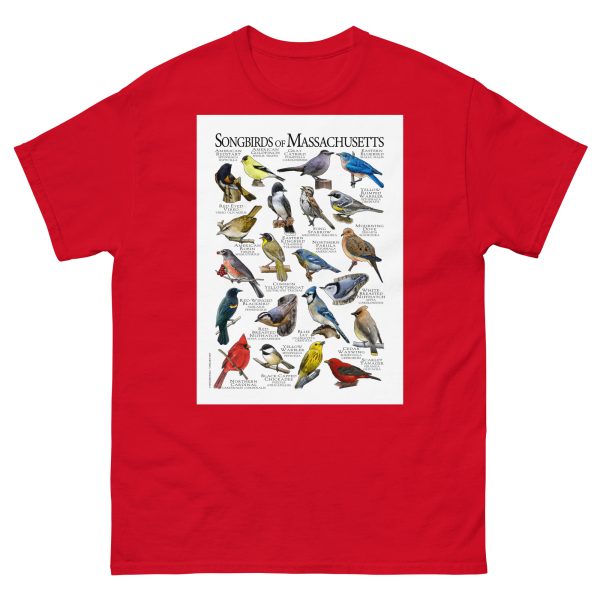 Songbirds of Massachusetts - Men's classic tee - Image 3