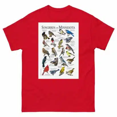 Songbirds of Minnesota - Men's classic tee - Image 3