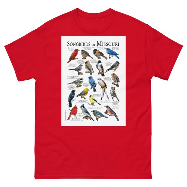 Songbirds of Missouri - Men's classic tee - Image 3