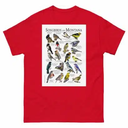 Songbirds of Montana - Men's classic tee - Image 3