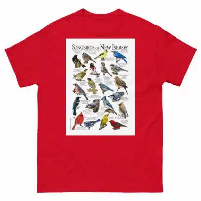 Songbirds of New Jersey - Men's classic tee - Image 3
