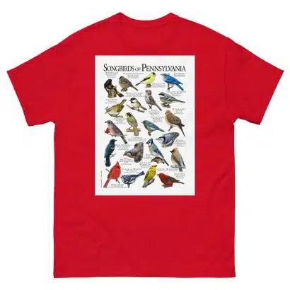 Songbirds of Pennsylvania - Men's classic tee - Image 3