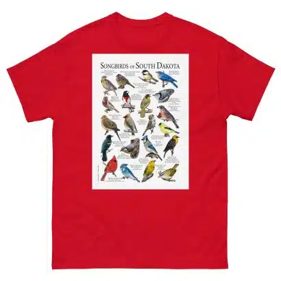 Songbirds of South Dakota - Men's classic tee - Image 3
