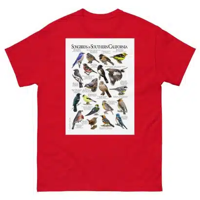 Songbirds of Southern California - Men's classic tee - Image 3