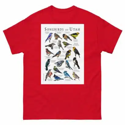 Songbirds of Utah - Men's classic tee - Image 3