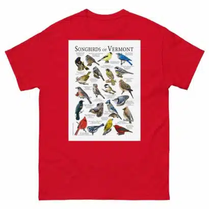 Songbirds of Vermont - Men's classic tee - Image 3