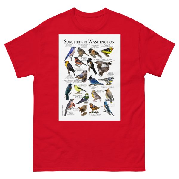 Songbirds of Washington - Men's classic tee - Image 3