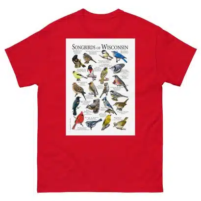 Songbirds of Wisconsin - Men's classic tee - Image 3