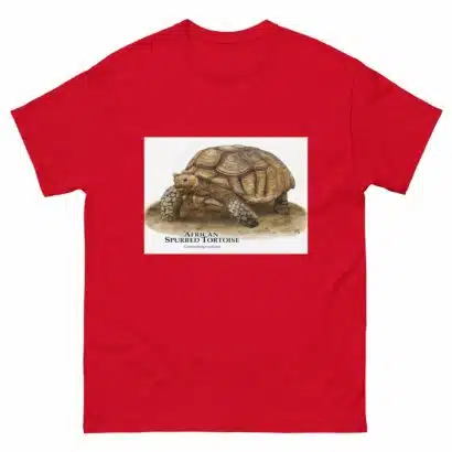 African Spurred Tortoise - Men's classic tee - Image 3