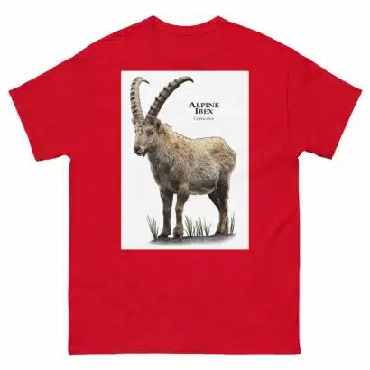 Alpine Ibex - Men's classic tee - Image 3