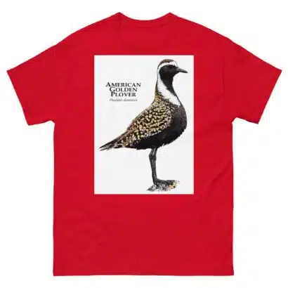 American Golden Plover - Men's classic tee - Image 3