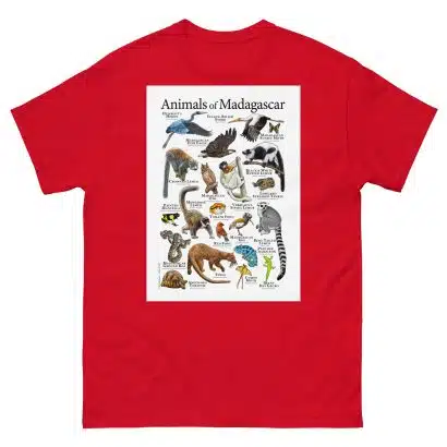 Animals of Madagascar - Men's classic tee - Image 3