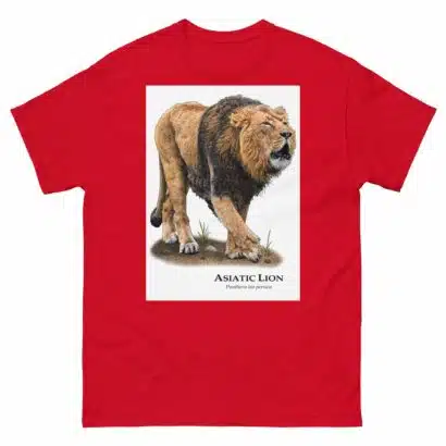 Asiatic Lion - Men's classic tee - Image 3