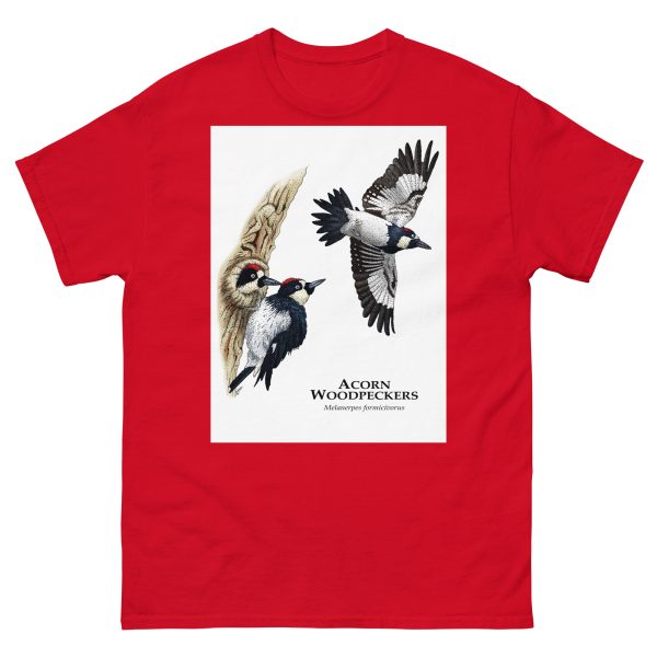 Acorn Woodpeckers - Men's classic tee - Image 3