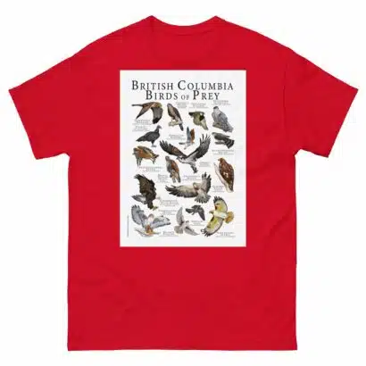 British Columbia Birds of Prey - Men's classic tee - Image 3