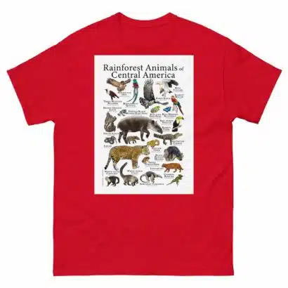 Rainforest Animals of Central America - Men's classic tee - Image 3