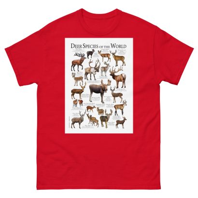 Deer Species of the World - Men's classic tee - Image 3