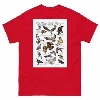 Diurnal Raptors of the Pacific Northwest - Men's classic tee - Image 3