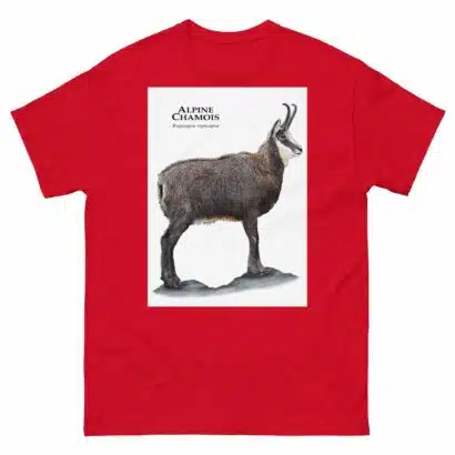 Alpine Chamois - Men's classic tee - Image 3
