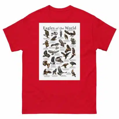 Eagles of the World - Men's classic tee - Image 3