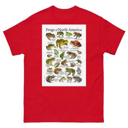 Frogs of North America - Men's classic tee - Image 3