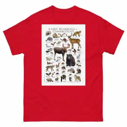 Land Mammals of Connecticut - Men's classic tee - Image 3