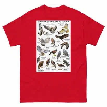 Hawks of North America - Men's classic tee - Image 3