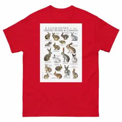 Lagomorphs of the US and Candada - Men's classic tee - Image 3
