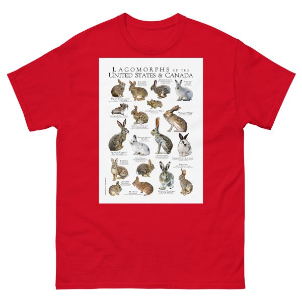 Lagomorphs of the US and Candada - Men's classic tee - Image 3