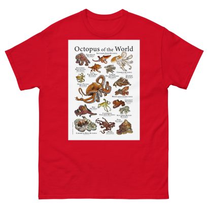 Octopus of the World - Men's classic tee - Image 3