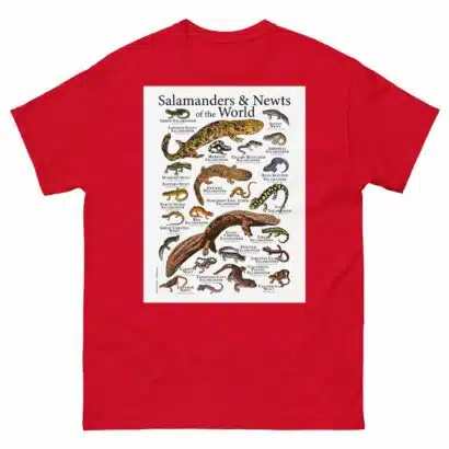 Salamanders & Newts of the World - Men's classic tee - Image 3