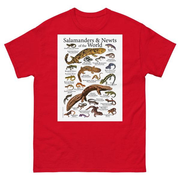 Salamanders & Newts of the World - Men's classic tee - Image 3