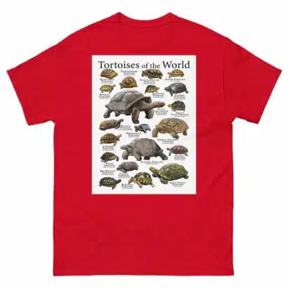 Tortoises of the World - Men's classic tee - Image 3