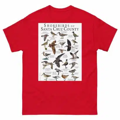 Shorebirds of Santa Cruz County - Men's classic tee - Image 3