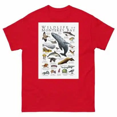 Wildlife of Monterey Bay - Men's classic tee - Image 3