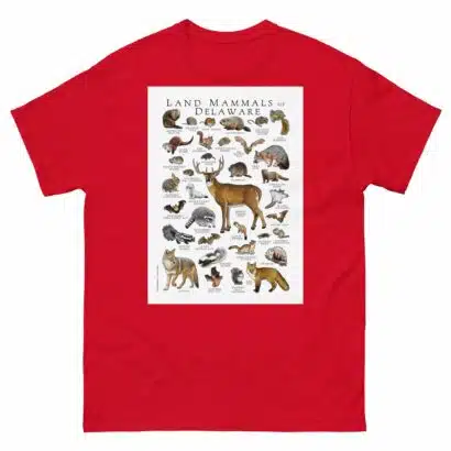 Land Mammals of Delaware - Men's classic tee - Image 3