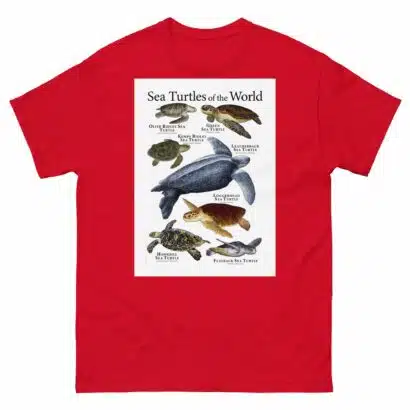 Sea Turtles of the World - Men's classic tee - Image 3