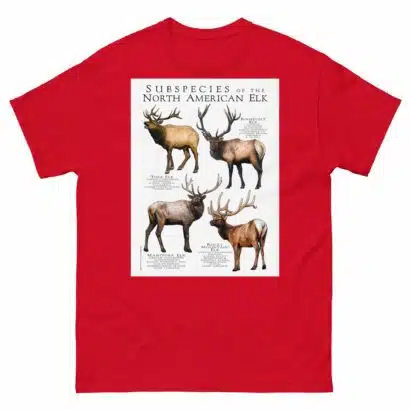 Subspecies of North American Elk - Men's classic tee - Image 3