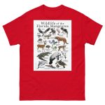Wildlife of the Florida Mangroves - Men's classic tee - Image 3