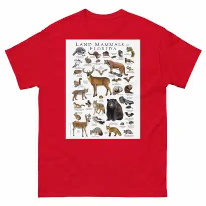 Land Mammals of Florida - Men's classic tee - Image 3