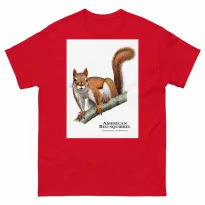 American Red Squirrel - Men's classic tee - Image 3
