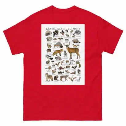 Mammals of Illinois - Men's classic tee - Image 3
