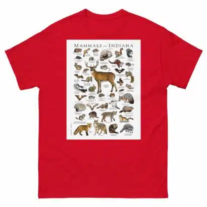 Mammals of Indiana - Men's classic tee - Image 3